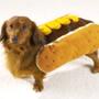 Hot Dog Halloween Costume